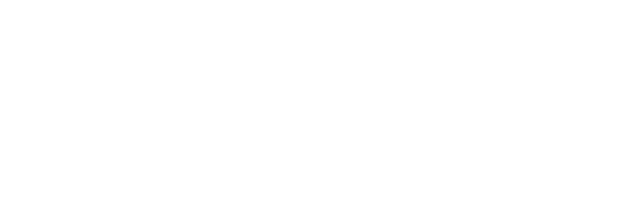 fantomJET logo